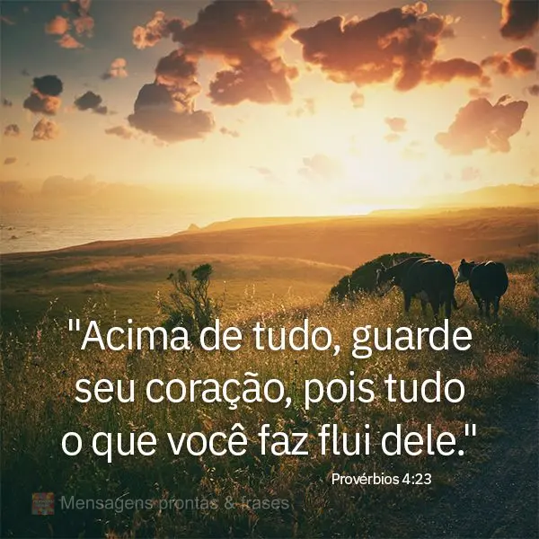 "Acima de tudo, guarde seu coração, pois tudo o que você faz flui dele." Provérbios 4:23