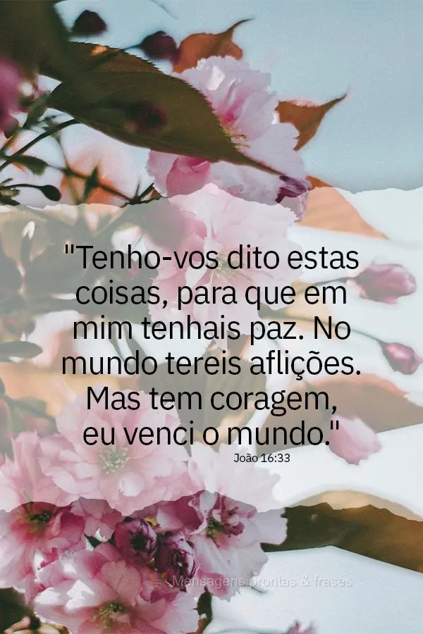 "Tenho-vos dito estas coisas, para que em mim tenhais paz. No mundo tereis aflições. Mas tem coragem, eu venci o mundo." João 16:33