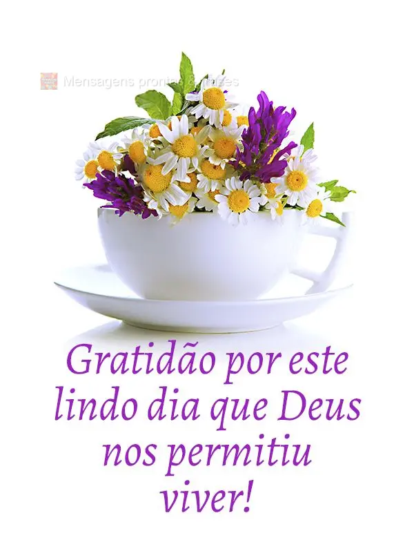 Gratidão por este lindo dia que Deus nos permitiu viver!