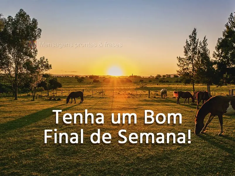 Tenha um bom final de semana!