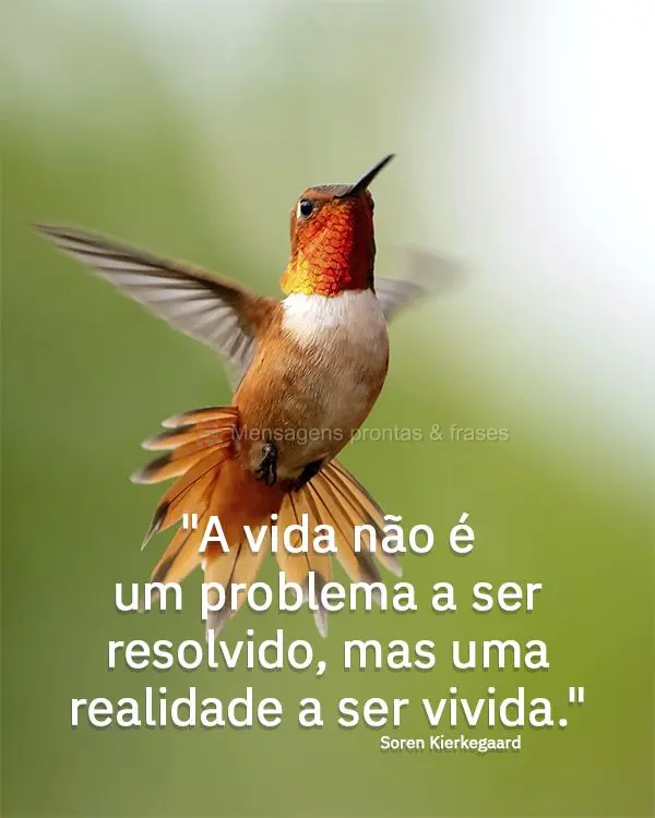 "A vida não é um problema a ser resolvido, mas uma realidade a ser vivida." Soren Kierkegaard