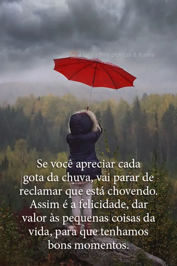 Se você apreciar cada gota da chuva, vai parar de reclamar que está chovendo. Assim é a felicidade, dar valor às pequenas coisas da vida, para que te...