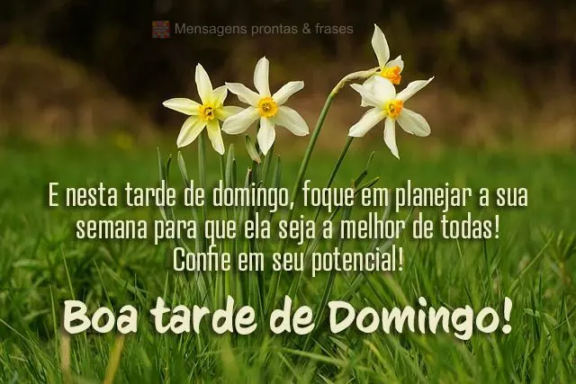 E nesta tarde de domingo, foque em planejar a sua semana para que ela seja a melhor de todas! Confie em seu potencial! 
 Boa tarde de Domingo!