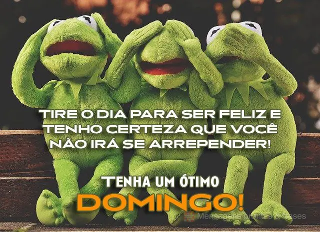 Tire o dia para ser feliz e tenho certeza que você não irá se arrepender!  Tenha um ótimo domingo!