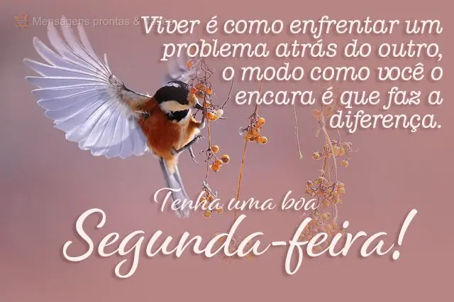 Viver é como enfrentar um problema atrás do outro, o modo como você o encara é que faz a diferença.  Tenha uma boa segunda-feira! 