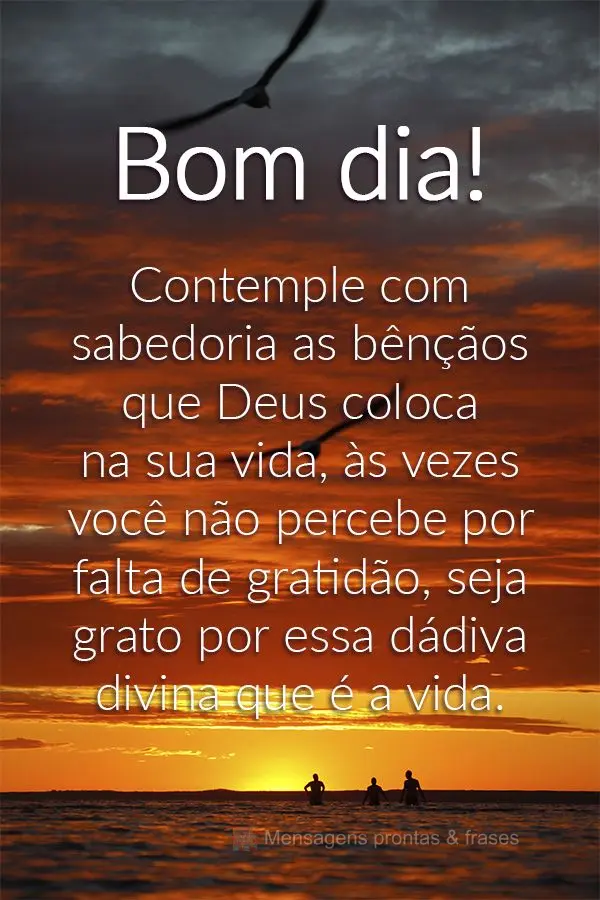 Contemple com sabedoria as bênçãos que Deus coloca na sua vida. Às vezes você não percebe, por falta de gratidão. Seja grato por essa dádiva divi...