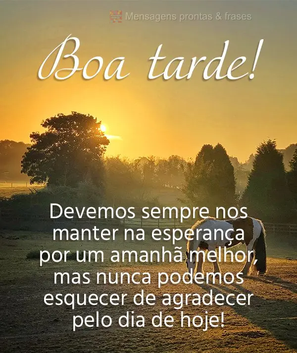 Devemos sempre nos manter na esperança por um amanhã melhor, mas nunca podemos esquecer de agradecer pelo dia de hoje! Boa tarde!