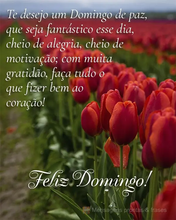 Te desejo um Domingo de paz, que seja fantástico o esse dia, cheio de alegria, cheio de motivação; com muita gratidão, faça tudo o que fizer bem ao ...