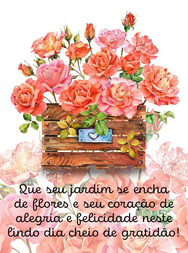 Que seu jardim se encha de flores e seu coração de alegria e felicidade neste lindo dia cheio de gratidão!