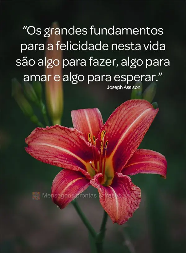 “Os grandes fundamentos para a felicidade nesta vida são algo para fazer, algo para amar e algo para esperar.” Joseph Assison