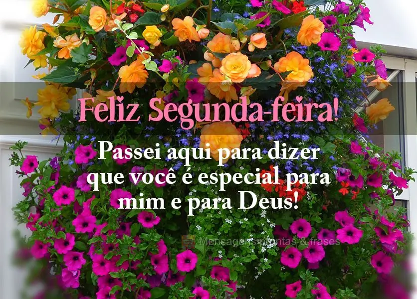 Passei aqui para dizer que você é especial para mim e para Deus! Feliz Segunda-feira!