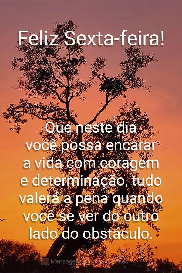 Que neste dia você possa encarar a vida com coragem e determinação, tudo valerá a pena quando você se ver do outro lado do obstáculo.  Feliz Sexta-...