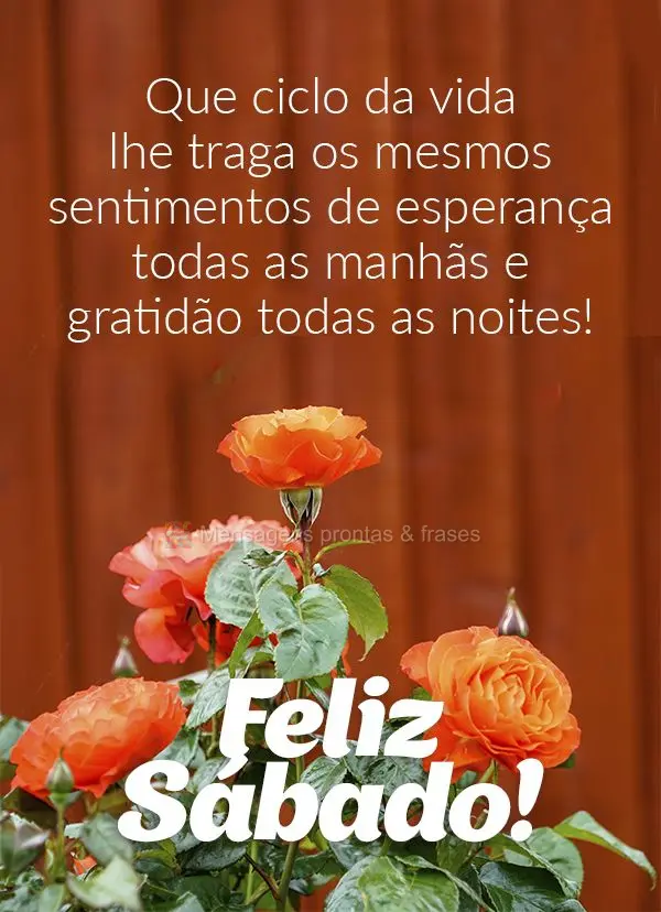 Que o ciclo da vida lhe traga os mesmos sentimentos de esperança todas as manhãs e gratidão todas as noites! Feliz Sábado! 