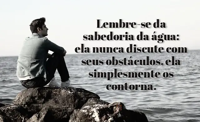 Lembre-se da sabedoria da água: ela nunca discute com seus obstáculos, ela simplesmente os contorna.
