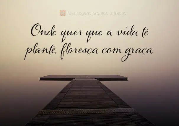 Onde quer que a vida te plante, floresça com graça.
