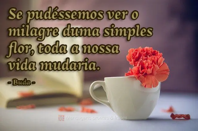 Se pudéssemos ver o milagre duma simples flor, toda a nossa vida mudaria.  Buda