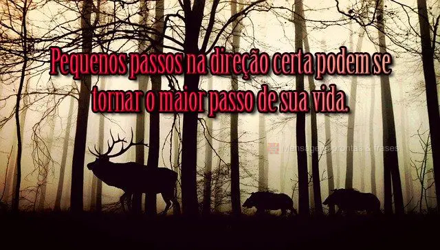 Pequenos passos na direção certa podem se tornar o maior passo de sua vida.
