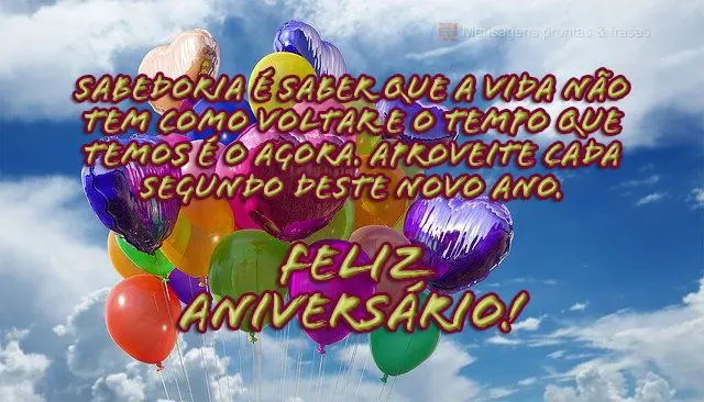 Sabedoria é saber que a vida não tem como voltar e o tempo que temos é o agora. Aproveite cada segundo deste novo ano.  Feliz aniversário!