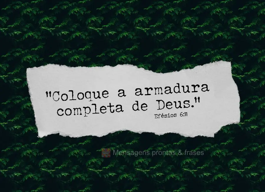 "Coloque a armadura completa de Deus." Efésios 6:11