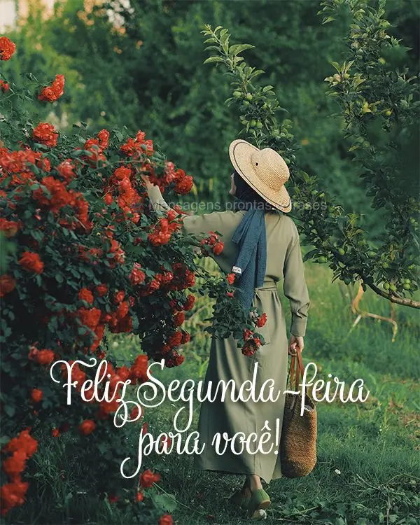 Feliz Segunda-feira para você!