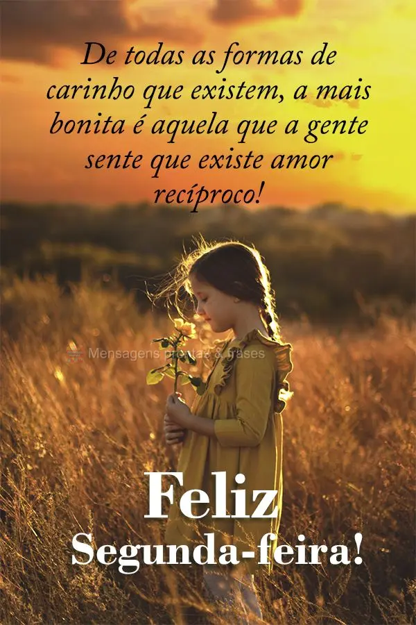 De todas as formas de carinho que existem, a mais bonita é aquela que a gente sente que existe amor recíproco! Feliz Segunda-feira! 