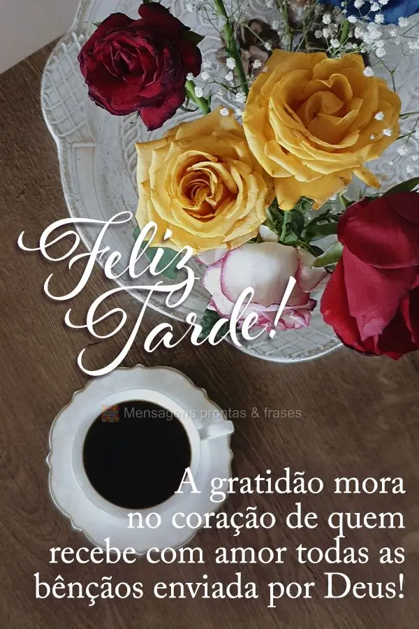 A gratidão mora no coração de quem recebe com amor todas as bênçãos enviadas por Deus! Feliz tarde!