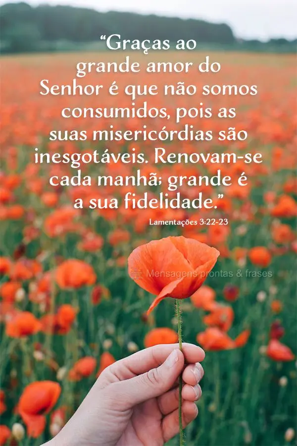 “Graças ao grande amor do Senhor é que não somos consumidos, pois as suas misericórdias são inesgotáveis. Renovam-se cada manhã; grande é a sua...