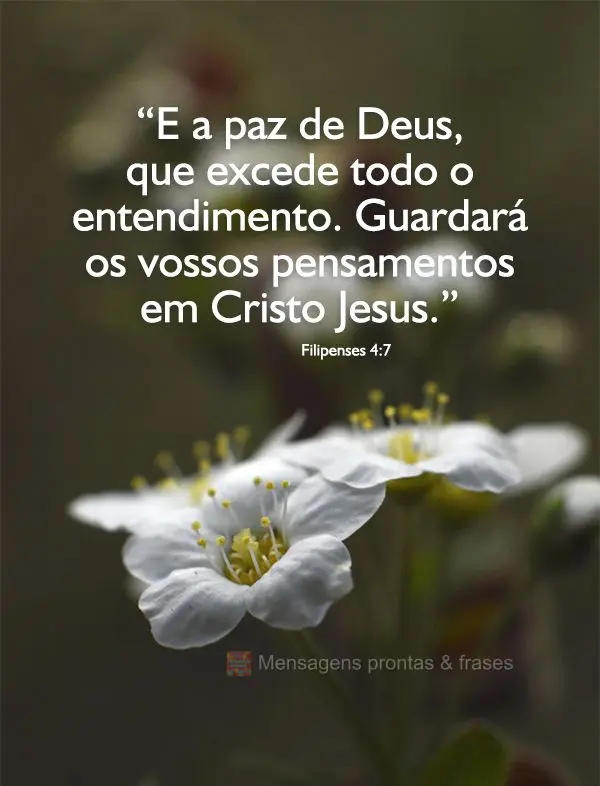 “E a paz de Deus, que excede todo o entendimento guardará os vossos pensamentos em Cristo Jesus.”  Filipenses 4,7