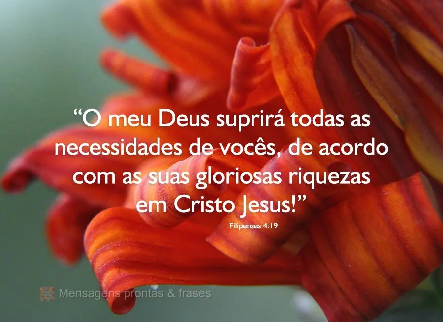 “O meu Deus suprirá todas as necessidades de vocês, de acordo com as suas gloriosas riquezas em Cristo Jesus!" Filipenses 4,19