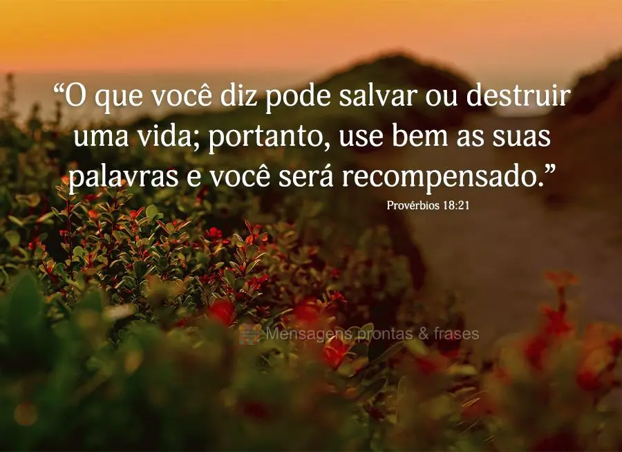 “O que você diz pode salvar ou destruir uma vida; portanto, use bem as suas palavras e você será recompensado.” Provérbios 18,21