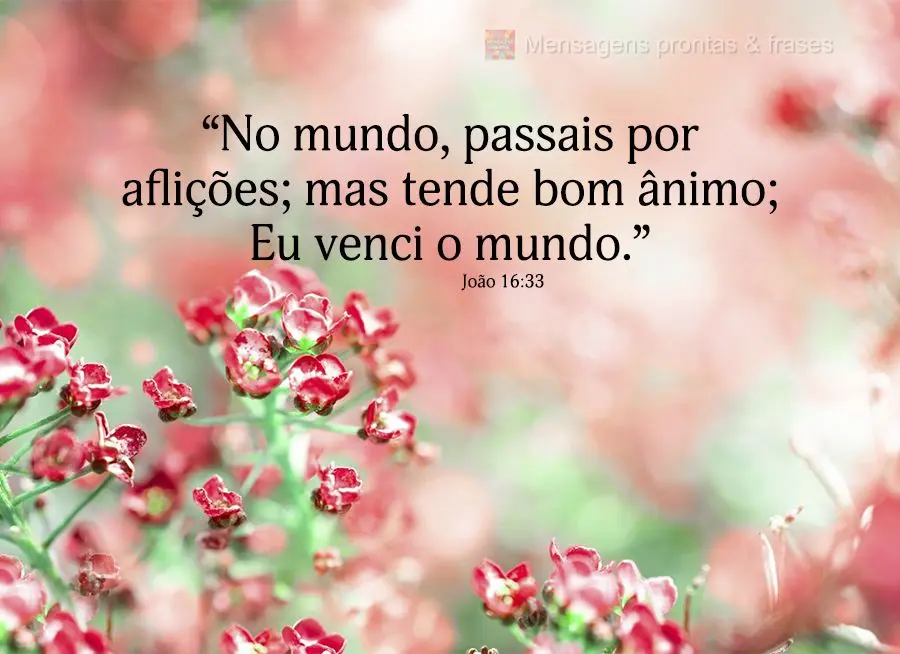 “No mundo, passais por aflições; mas tende bom ânimo; Eu venci o mundo.” João 16,33