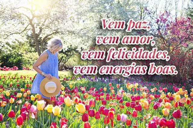 Vem paz, vem amor, vem felicidade, vem energias boas.
