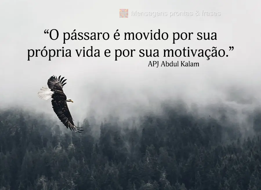 “O pássaro é movido por sua própria vida e por sua motivação.” APJ Abdul Kalam