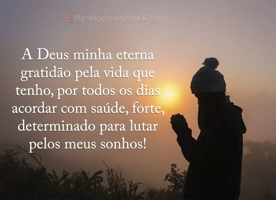 A Deus minha eterna gratidão pela vida que tenho, por todos os dias acordar com saúde, forte e determinado para lutar pelos meus sonhos!