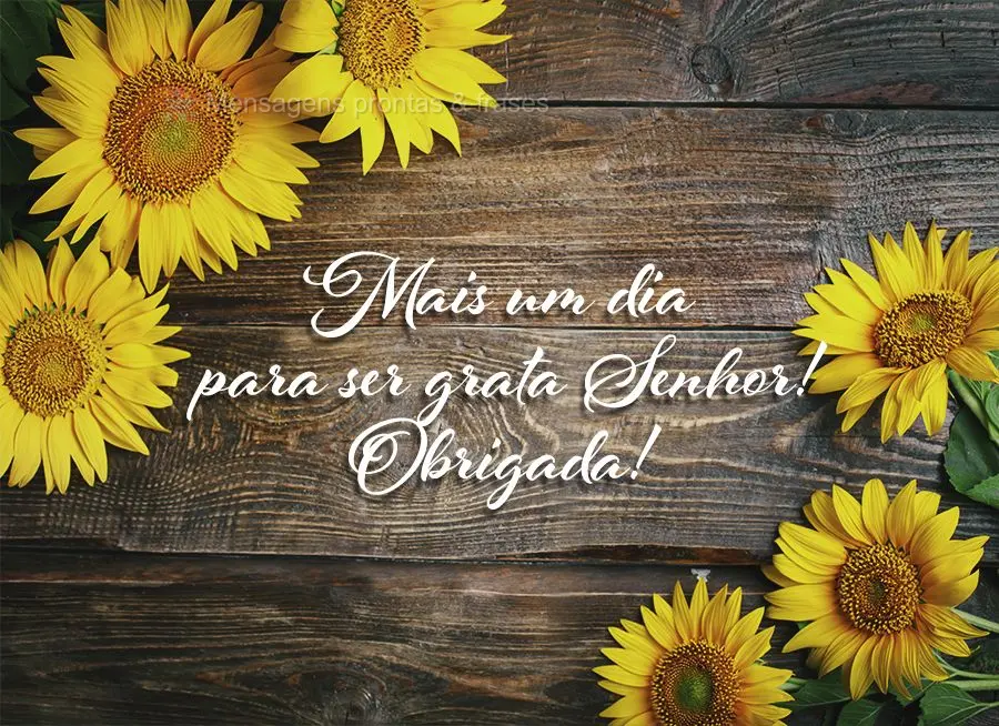 Mais um dia para ser grata, Senhor! Obrigada!