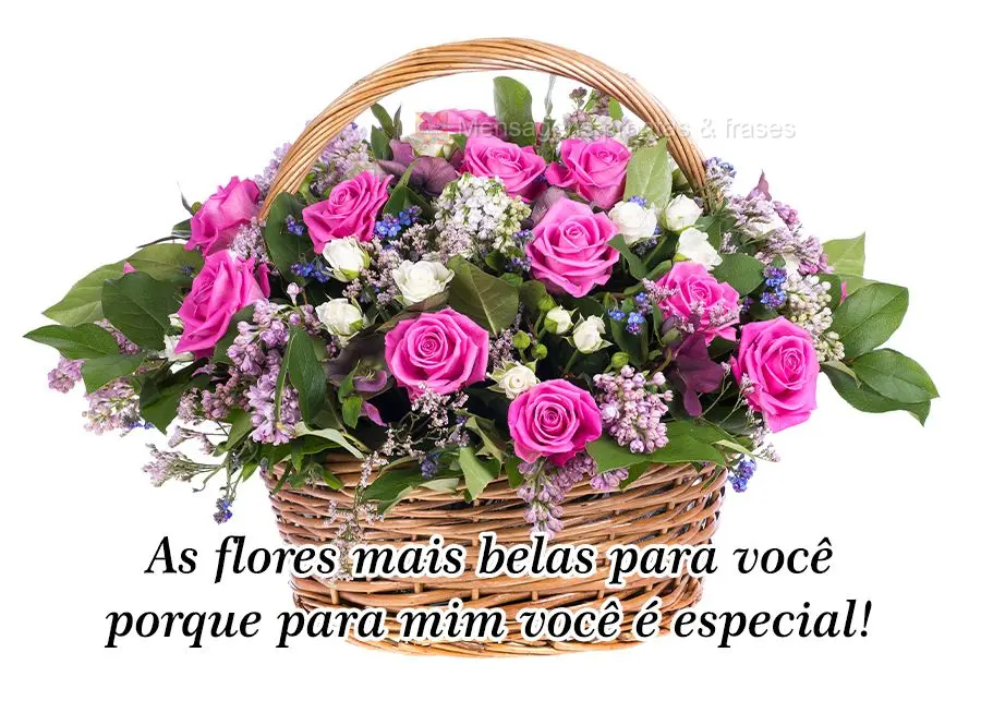 As flores mais belas para você porque para mim você é especial!