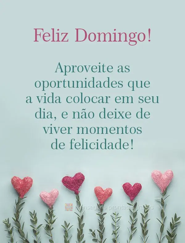 Aproveite as oportunidades que a vida colocar em seu dia, e não deixe de viver momentos de felicidade! Feliz Domingo! 