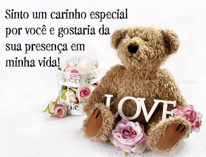 Sinto um carinho especial por você e gostaria da sua presença em minha vida!