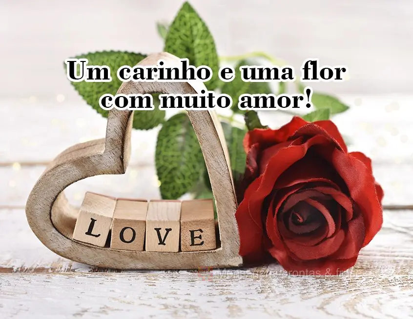 Um carinho e uma flor com muito amor!