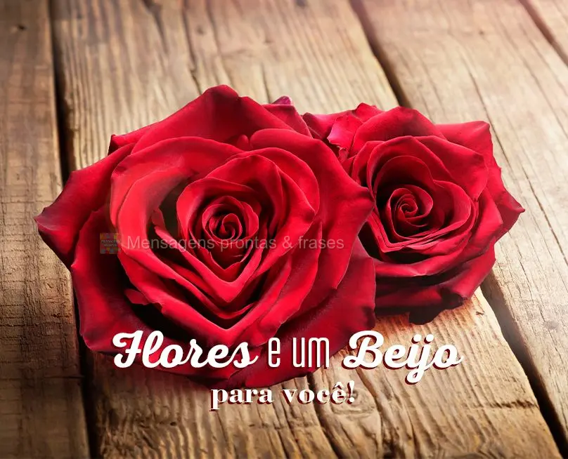 Flores e um beijo para você!