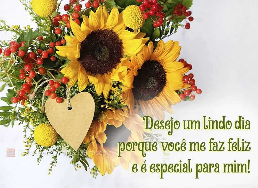 Desejo um lindo dia porque você me faz feliz e é especial para mim!