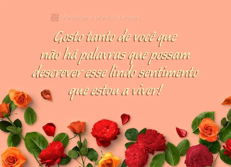 Gosto tanto de você que não há palavras que possam descrever esse lindo sentimento que estou a viver!