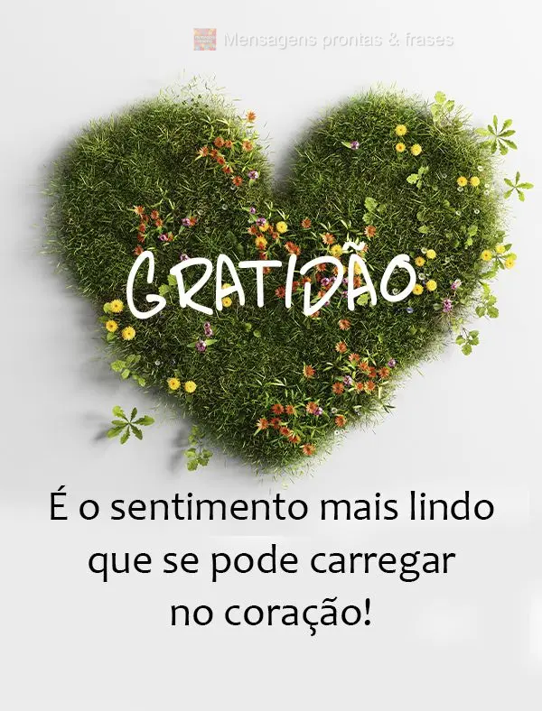 Gratidão. É o sentimento mais lindo que se pode carregar no coração!