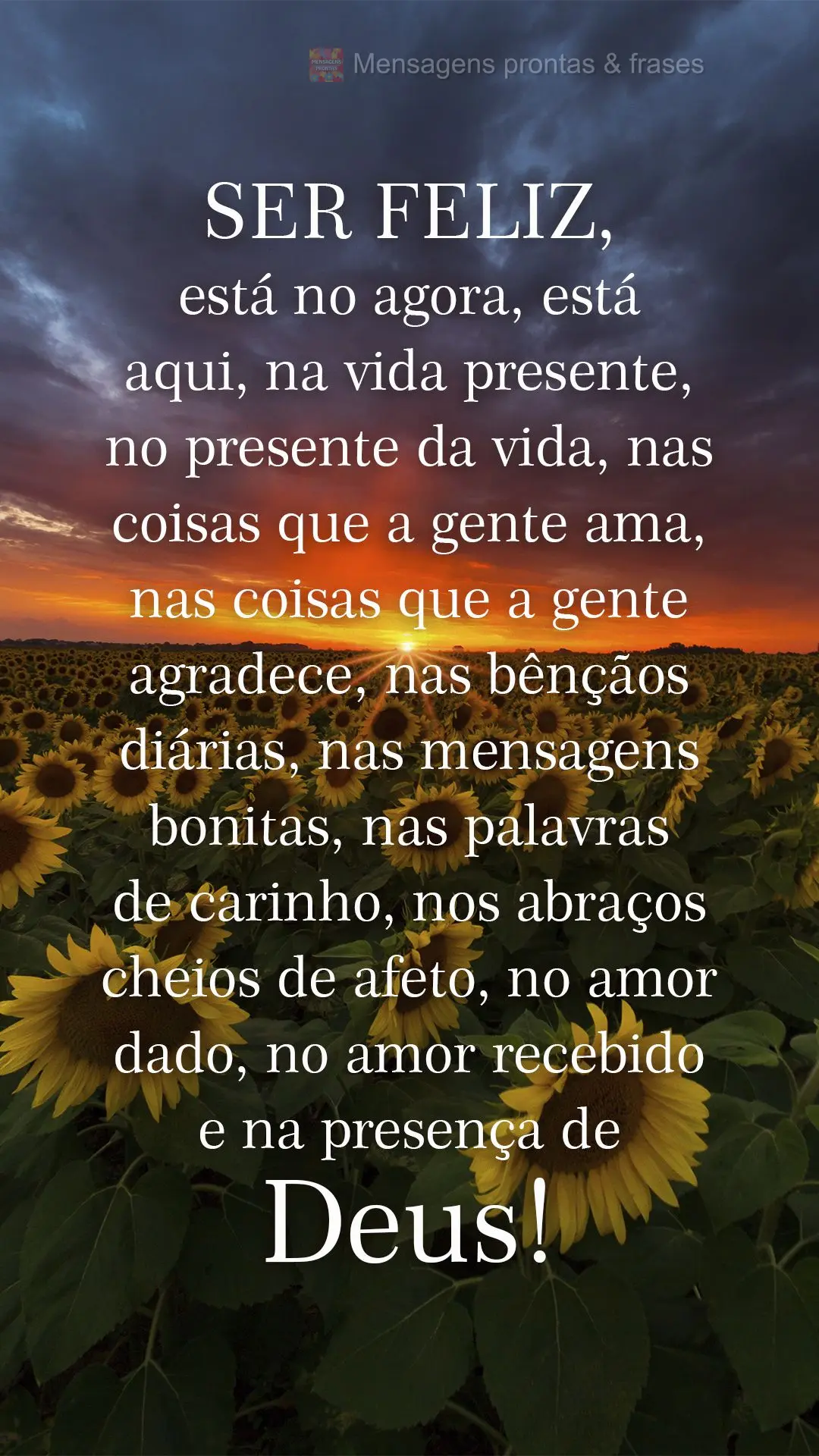 Ser feliz está no agora, está aqui, na vida presente, no presente da vida, nas coisas que a gente ama, nas coisas que a gente agradece, nas bênçãos ...