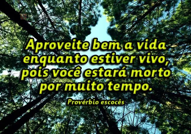 Aproveite bem a vida enquanto estiver vivo, pois você estará morto por muito tempo.  Provérbio escocês