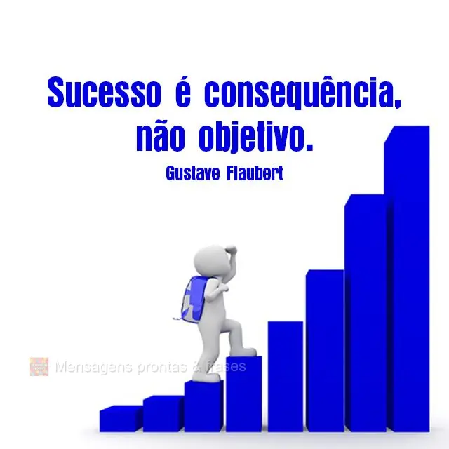 Sucesso é consequência, não objetivo.  Gustave Flaubert