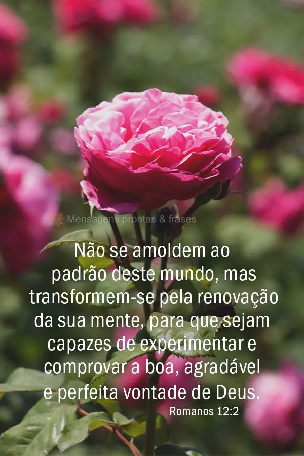 "Não se amoldem ao padrão deste mundo, mas transformem-se pela renovação da sua mente, para que sejam capazes de experimentar e comprovar a boa, agra...