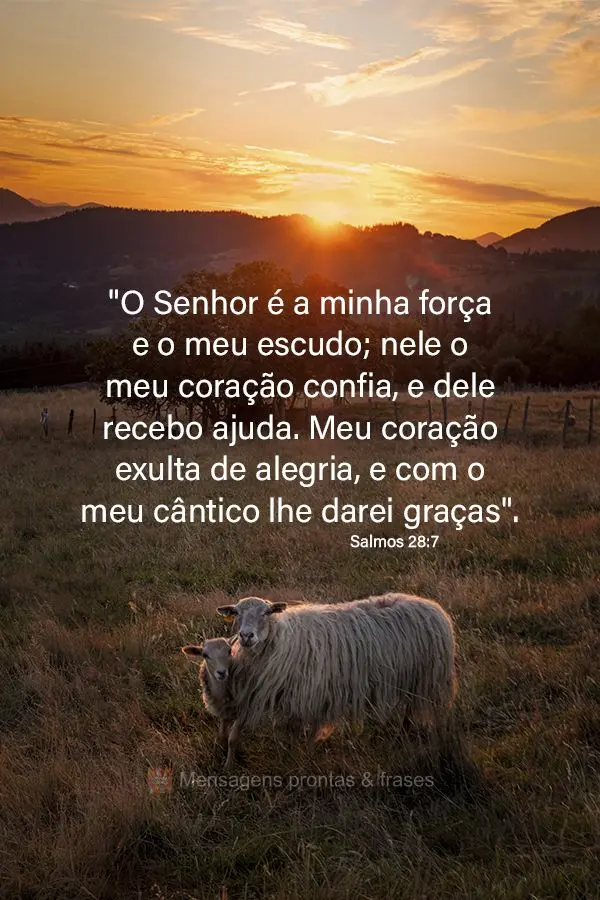 "O Senhor é a minha força e o meu escudo; nele o meu coração confia, e dele recebo ajuda. Meu coração exulta de alegria, e com o meu cântico lhe d...