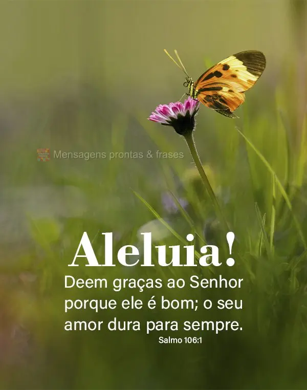 "Aleluia! Deem graças ao Senhor porque ele é bom; o seu amor dura para sempre".  Salmos 106,1