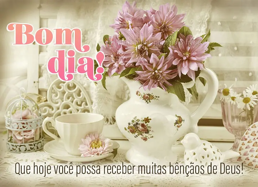 Que hoje você possa receber muitas bênçãos de Deus! Bom dia!